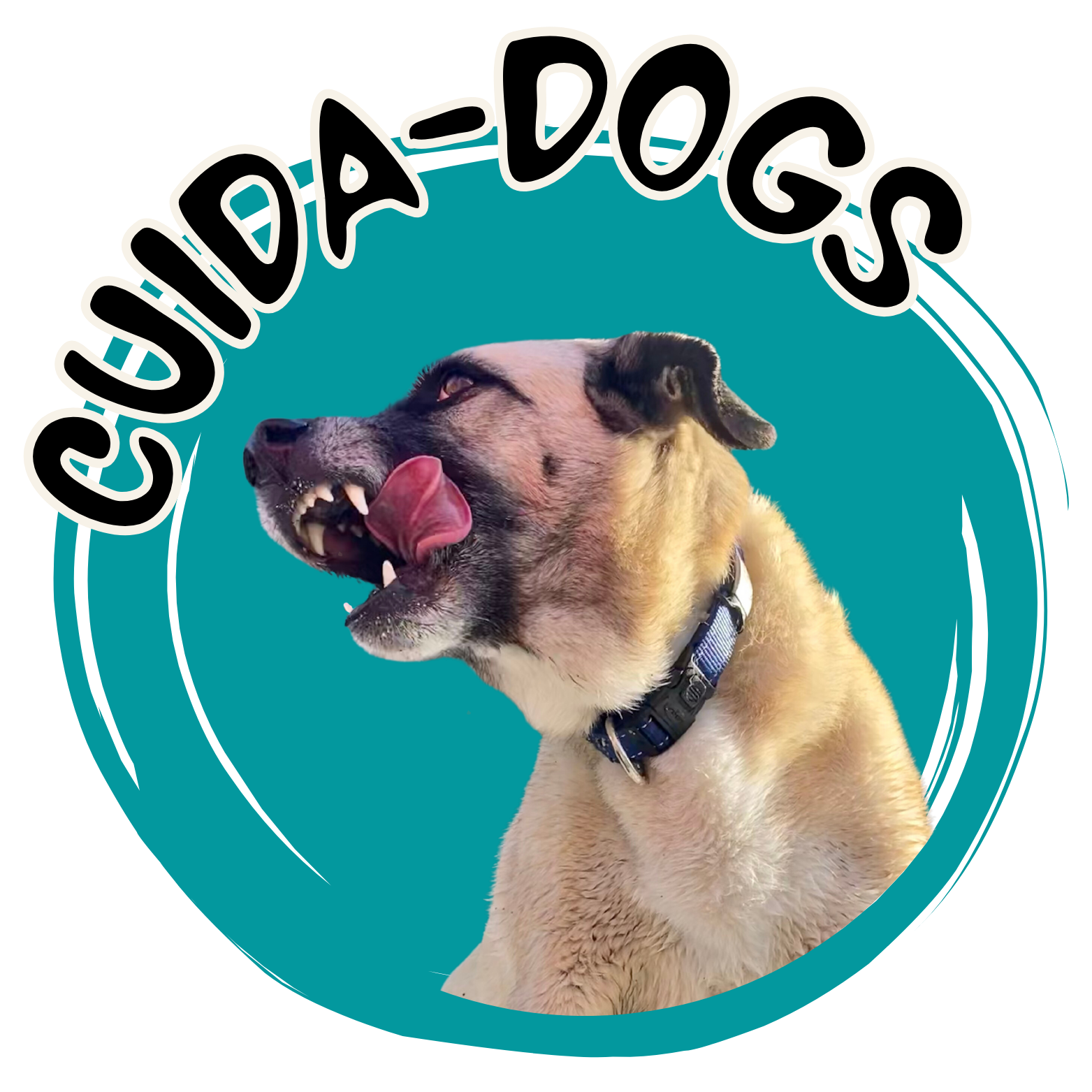 'CuidaDogs'